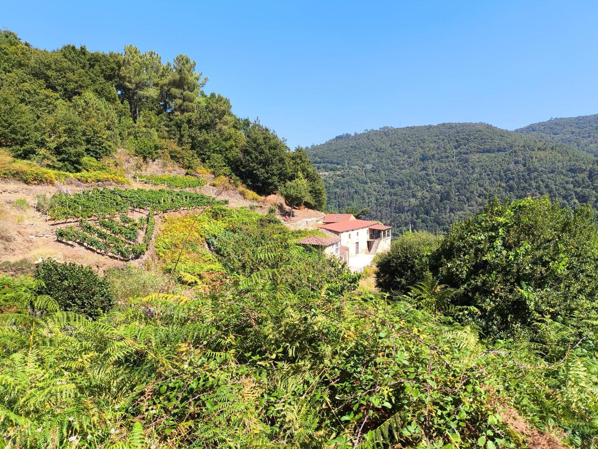 Xiravai-Ribeira Sacra Villa Peares Kültér fotó