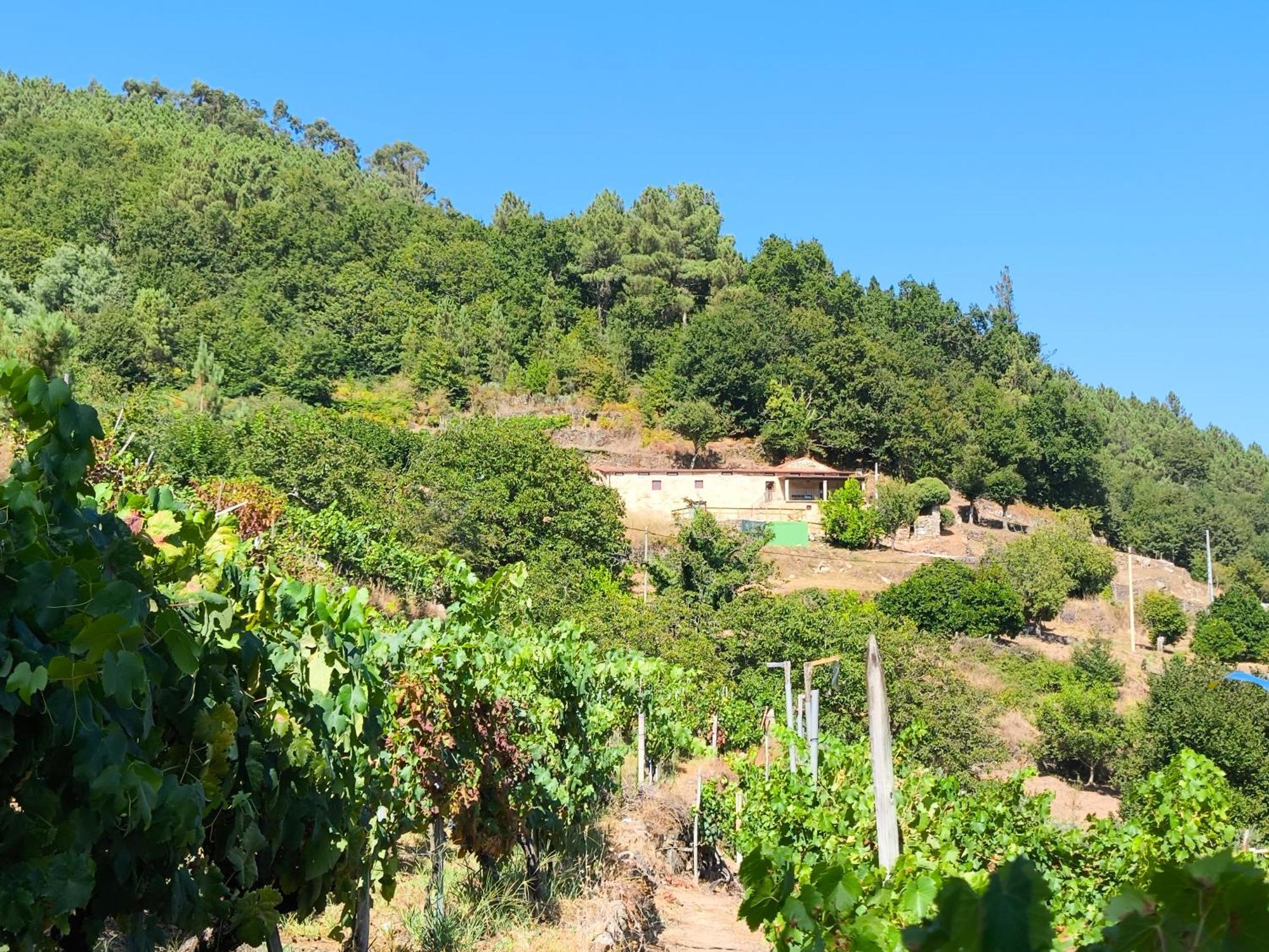 Xiravai-Ribeira Sacra Villa Peares Kültér fotó